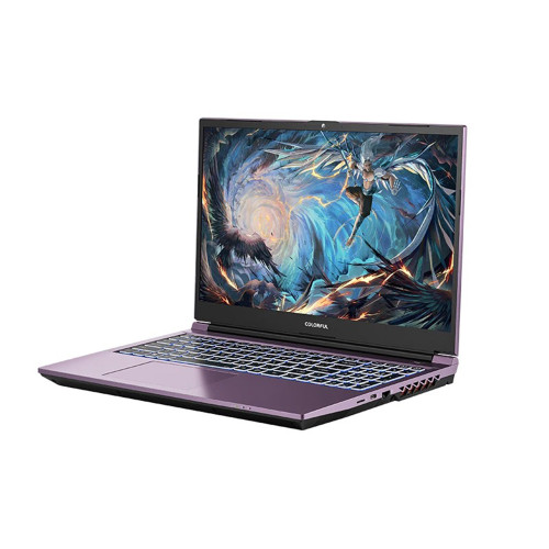 Laptop Gaming COLORFUL EVOL X15 AT i5-13500HX RTX4060 512GB SSD 16GB 2K QHD 165Hz Win1114